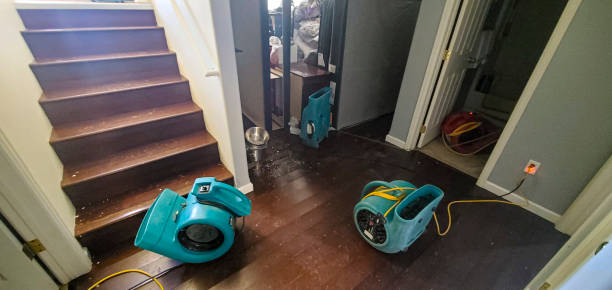  Medpolis, IA Water damage restoration Pros