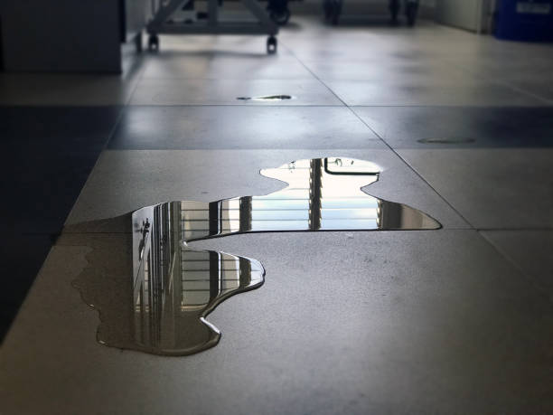 Best Water damage restoration near me  in Medpolis, IA