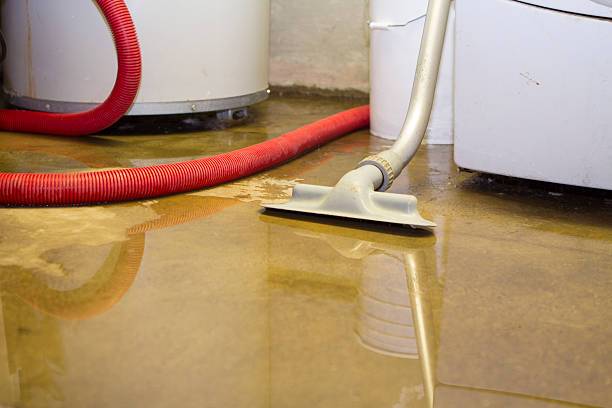 Best Sewage cleanup and water damage restoration  in Medpolis, IA