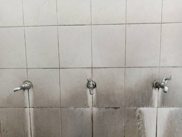 Best Water damage restoration company  in Medpolis, IA