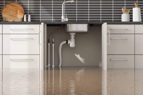 Best Local water damage restoration  in Medpolis, IA