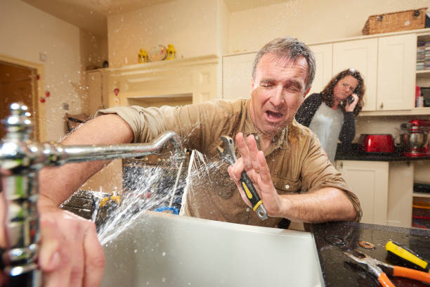 Best Water damage restoration experts  in Medpolis, IA